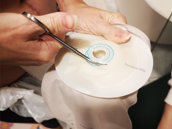 Avannesidoksen pohjalevyn leikkaus