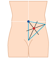 Avanteen merkitseminen